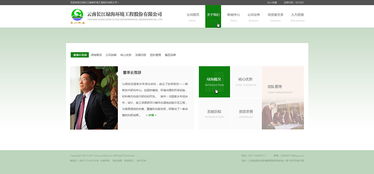 长江绿海·赋能云南 探寻昆明网站建设与网络公司新格局