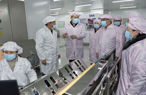 深入一线督进度解难题 王志杰调研重点项目和重点企业并推动网站建设升级